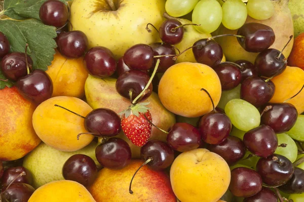 Vers rijp fruit — Stockfoto