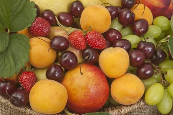 Vers rijp fruit — Stockfoto