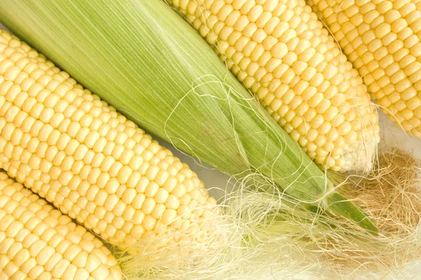 Fresh ripe corn — Stock Photo, Image