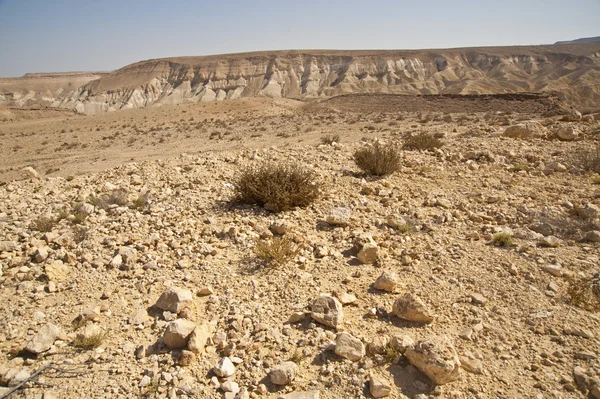 Fragment af Avdat Nationalpark - Stock-foto