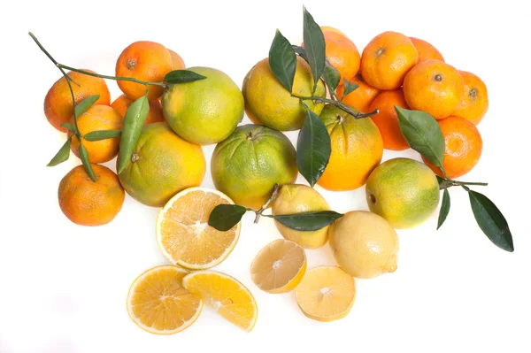 Orange frukt med blad — Stockfoto