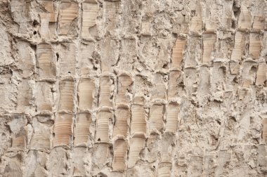 west bank city of jericho Hişam'ın sarayında. Filistin