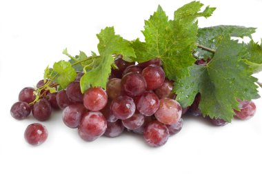 izole kırmızı üzüm yaprakları