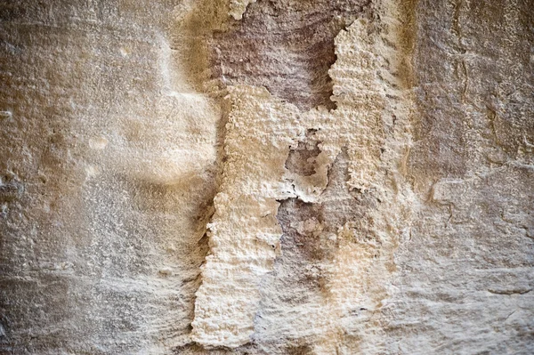 砂岩墙上的世界模式不知道佩特拉 — 图库照片