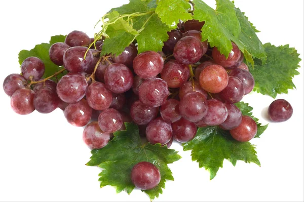 Изолированный красный виноград с листьями — стоковое фото