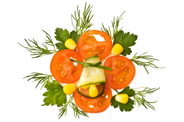 Elementos vegetales ornamentales para menú — Foto de Stock