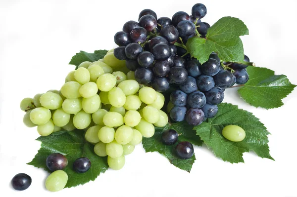 Зеленый и черный виноград с листьями — стоковое фото