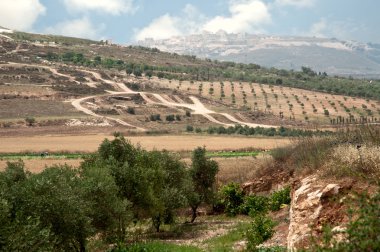 milli park zippori (tsipori). İsrail