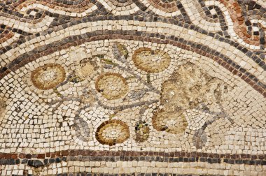 Mozaik içinde Milli Parkı zippori. İsrail