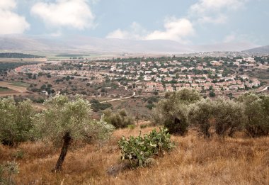 milli park zippori (tsipori). İsrail