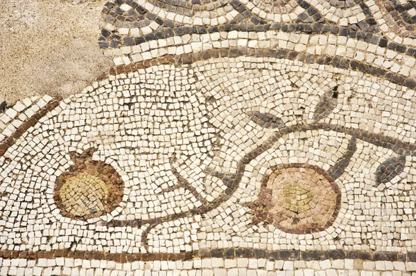 Mozaik içinde Milli Parkı zippori. İsrail — Stok fotoğraf