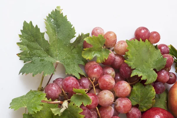 Raisins rouges mûrs avec des feuilles — Photo