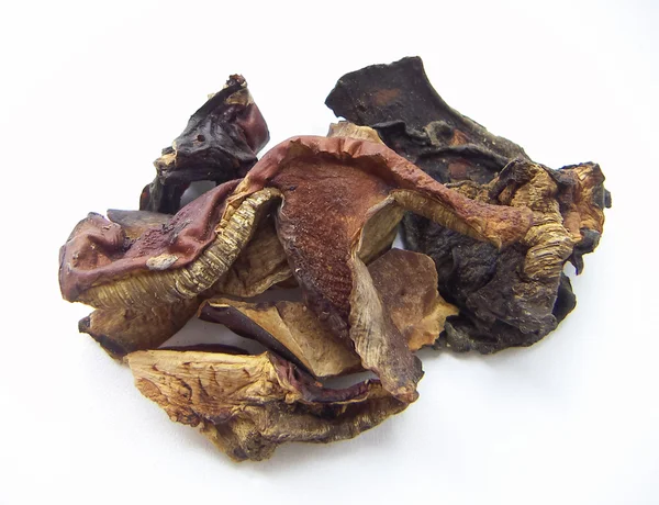Dried mushrooms Royalty Free Stock Images