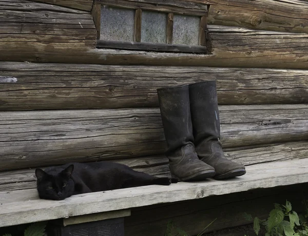 Stivali da gatto e tela cerata neri — Foto Stock