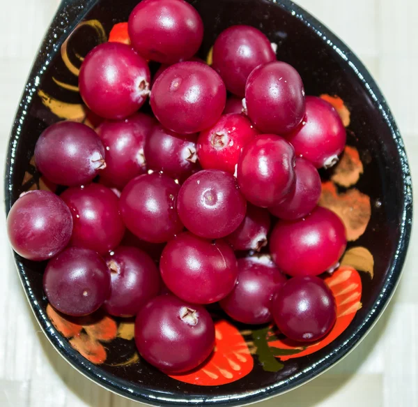 Dojrzałe cranberries_4 — Zdjęcie stockowe