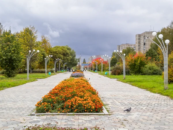 Gångvägen längs avenue energisk — Stockfoto