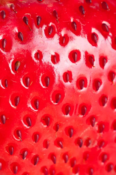 Macro fraise — Photo