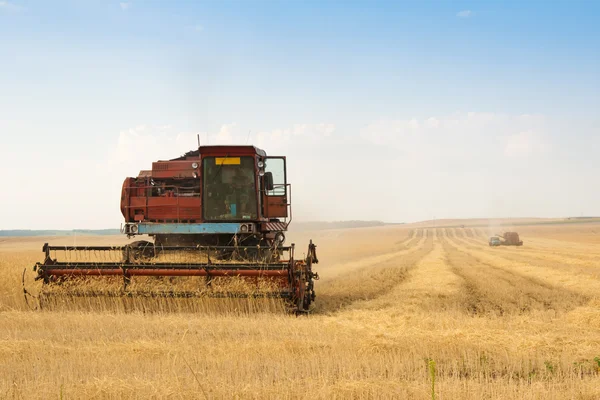 Récolteuse de grain combiner dans le champ — Photo