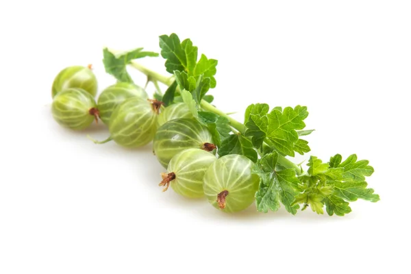 Gooseberries — Stock Photo, Image