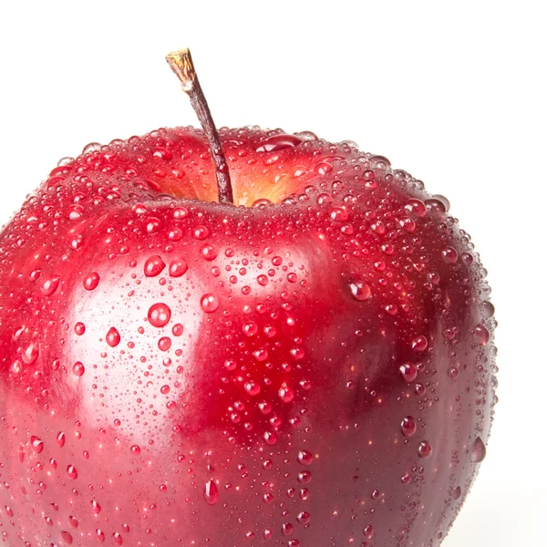 Roter Apfel — Stockfoto