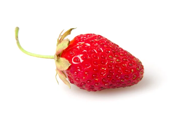 Strawberry — Stock Photo, Image