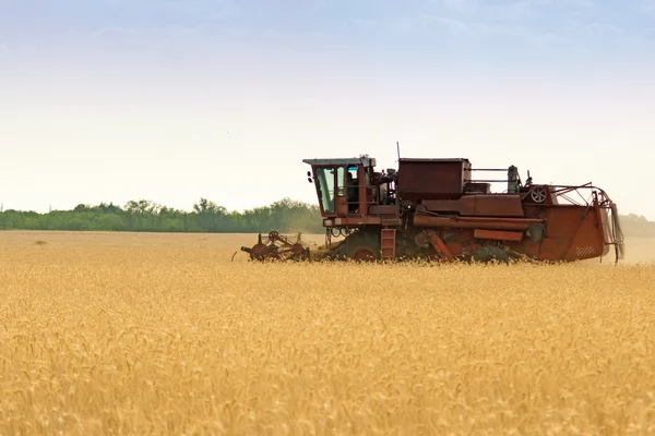 Raccoglitore di cereali combinano in campo — Foto Stock