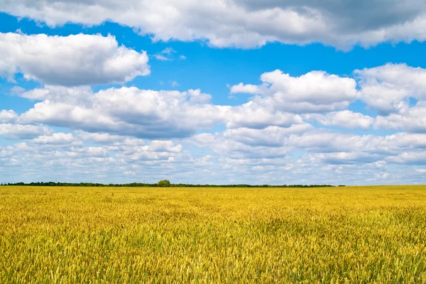 Paesaggio — Foto Stock