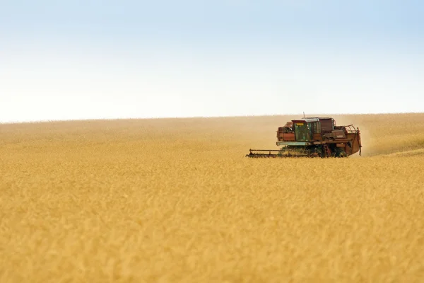 Grain harvester combine in field — Stock Photo, Image