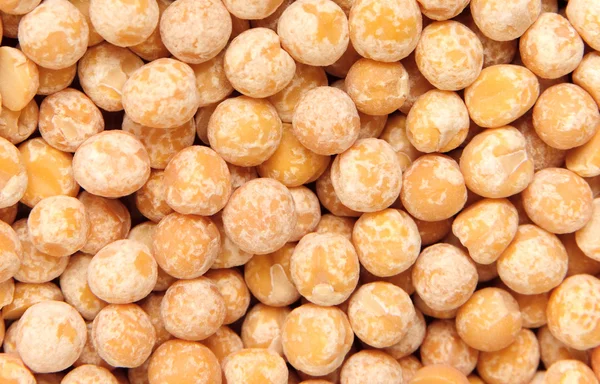 Yellow pea — Stock Photo, Image