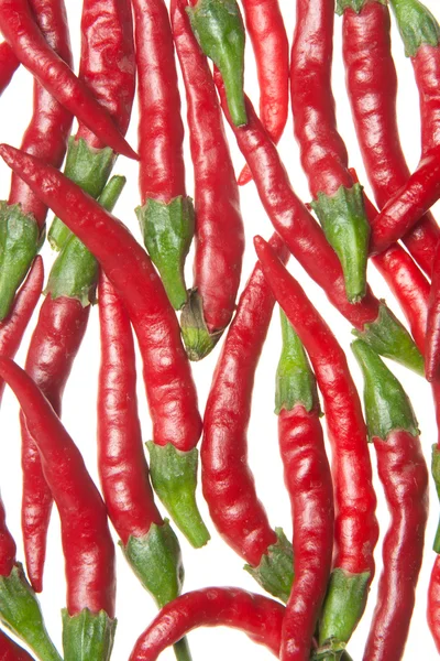 Rote Paprika — Stockfoto