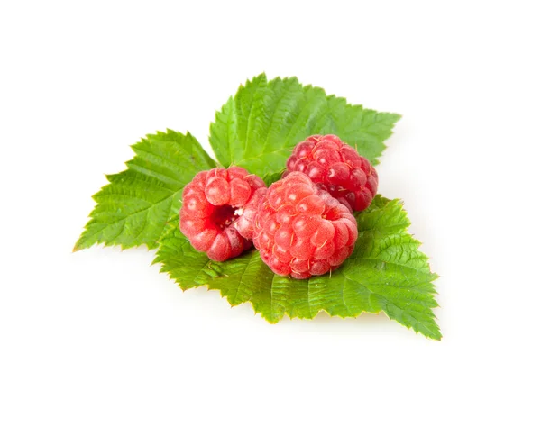 Raspberries Stock Picture