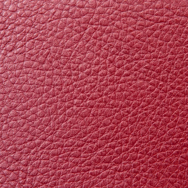 Leather — Stock Photo, Image