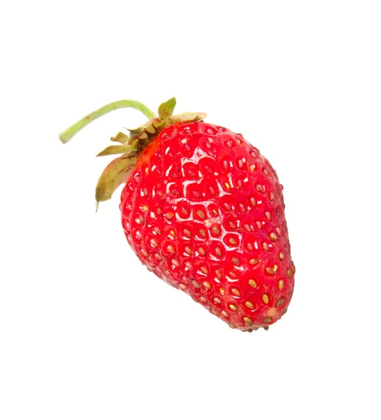 Strawberry — Stock Photo, Image