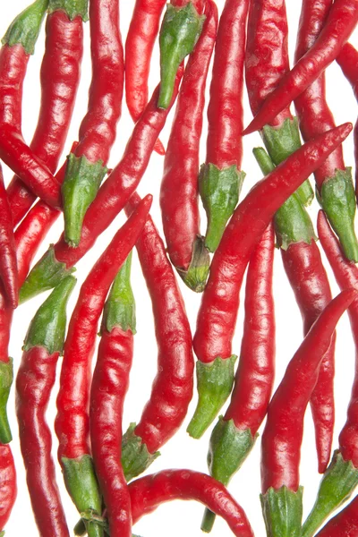 Rote Paprika — Stockfoto