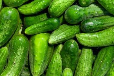 cucumbers clipart