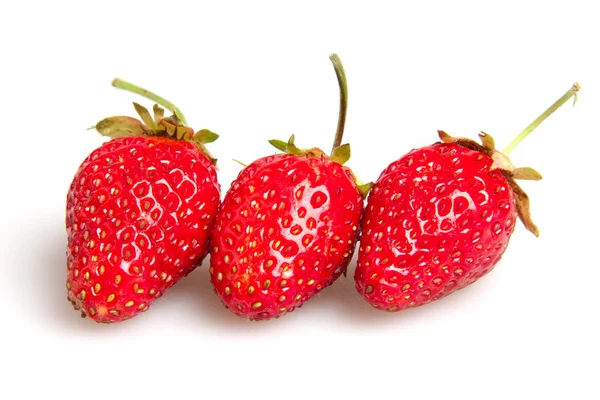 Straberry — Foto Stock