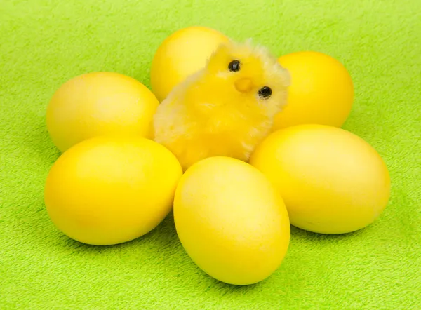 Pollo amarillo —  Fotos de Stock