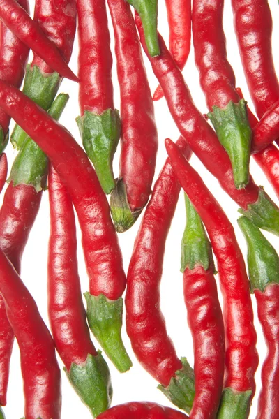 Rote Paprika — Stockfoto