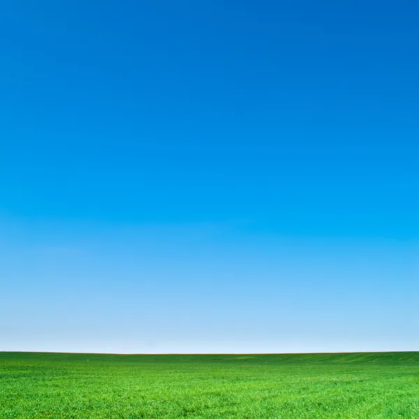 Paisagem — Fotografia de Stock