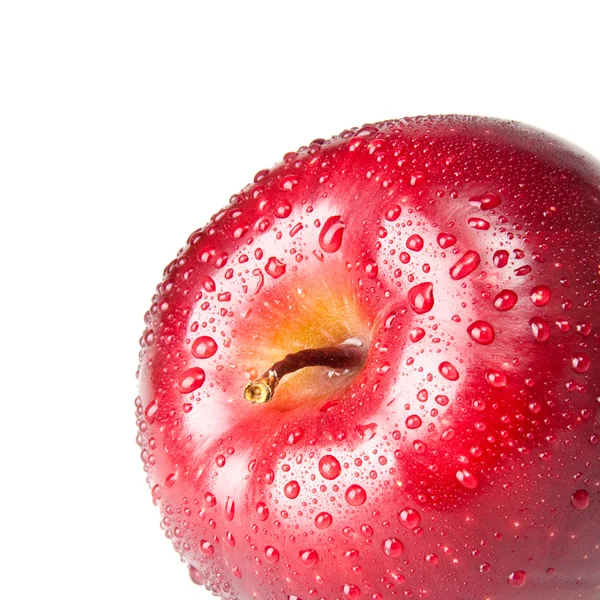 Roter Apfel — Stockfoto