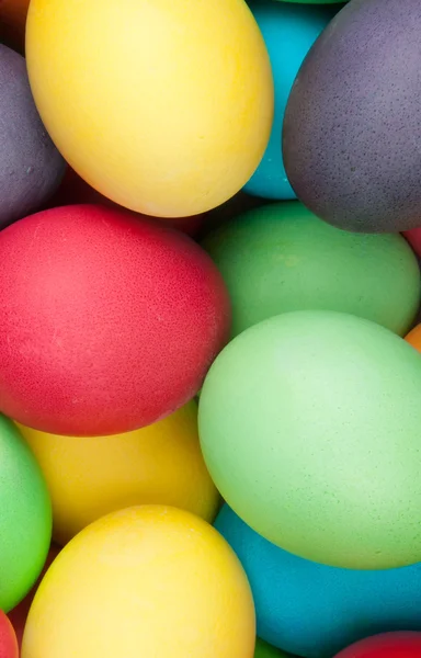 Color eggs — Stock Photo, Image