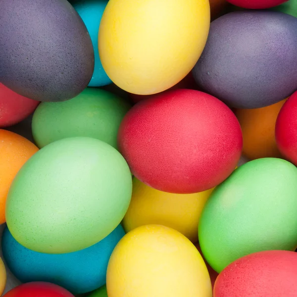 Color eggs — Stock Photo, Image