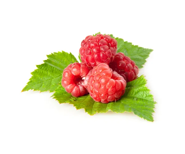 Himbeeren — Stockfoto