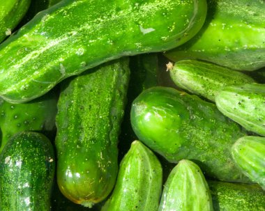 Salatalık.