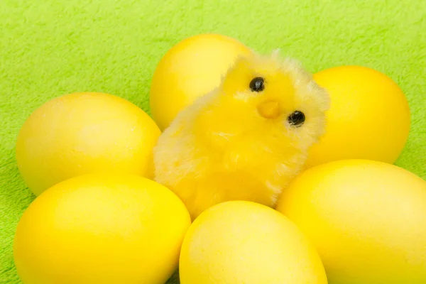 Gelbes Huhn — Stockfoto