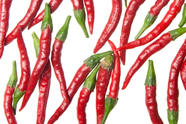 Rote Paprika — Stockfoto