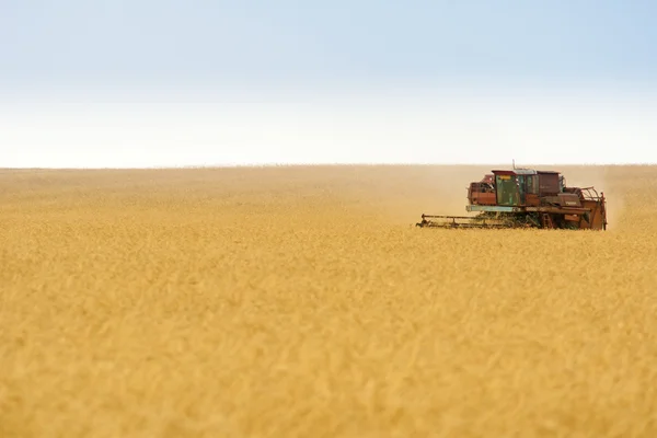 Raccoglitore di cereali combinano in campo — Foto Stock