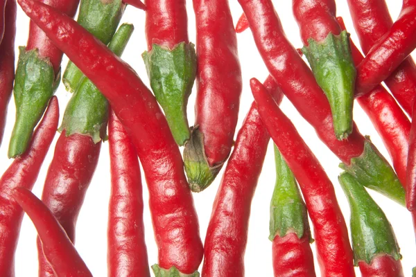 Rote Paprika — Stockfoto