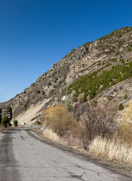 El camino a las montañas. Kirguistán. Ala-Archa . —  Fotos de Stock