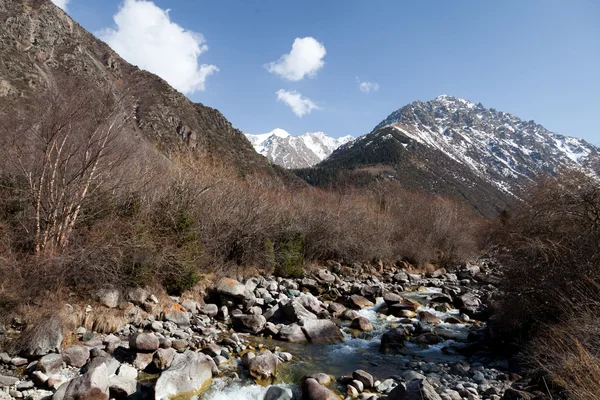 Berg flod. Kirgizistan. ALA-archa. — Stockfoto